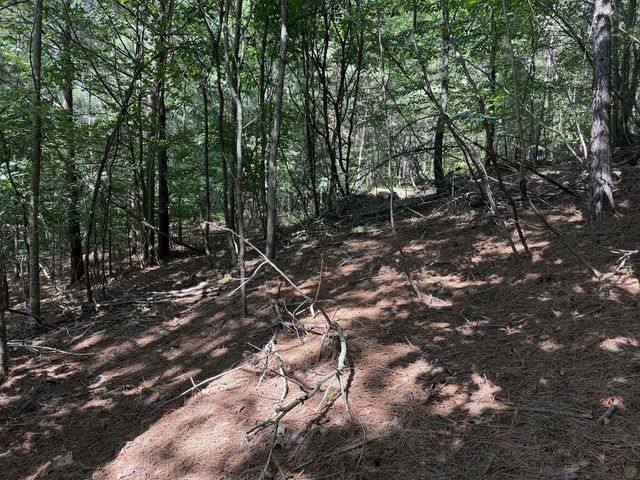 Lot 25 The Hills At Queens Gap, Blairsville, GA 30512