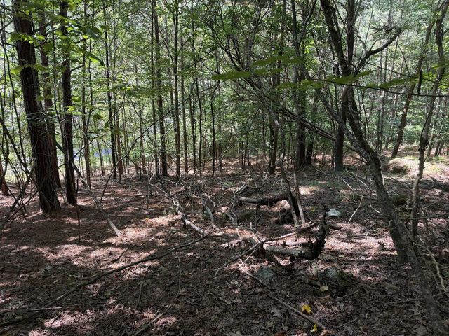 Lot 25 The Hills At Queens Gap, Blairsville, GA 30512
