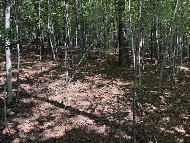 Lot 25 The Hills At Queens Gap, Blairsville, GA 30512