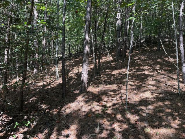 Lot 25 The Hills At Queens Gap, Blairsville, GA 30512