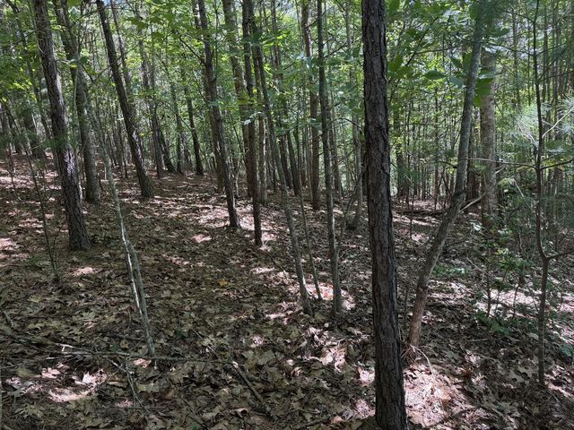 Lot 25 The Hills At Queens Gap, Blairsville, GA 30512