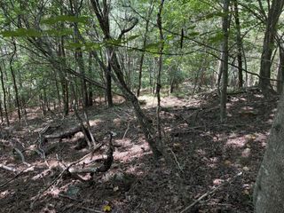 Lot 25 The Hills At Queens Gap, Blairsville, GA 30512