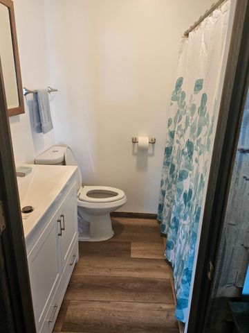 576 Pine Mountain Lake Road NW, Deerfield Twp, MN 56435