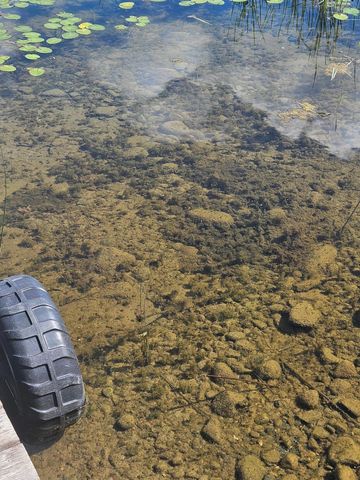 576 Pine Mountain Lake Road NW, Deerfield Twp, MN 56435