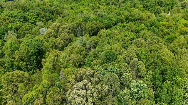 0 Nelmonte Ln, Arrington, VA 22922