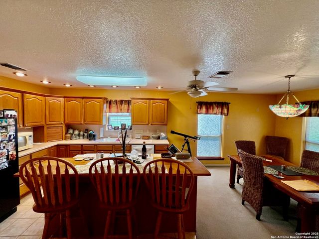 375 Bluntzer Rd, Jourdanton, TX 78026