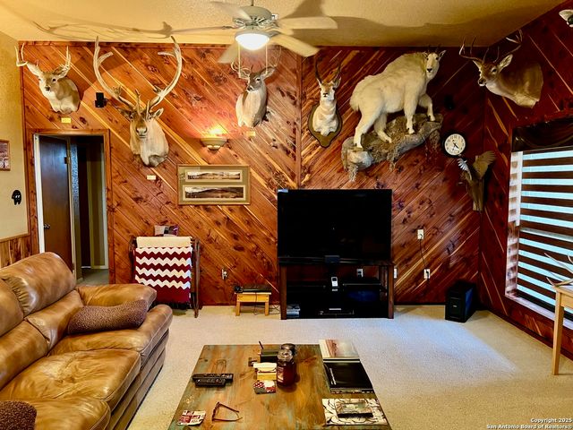 375 Bluntzer Rd, Jourdanton, TX 78026