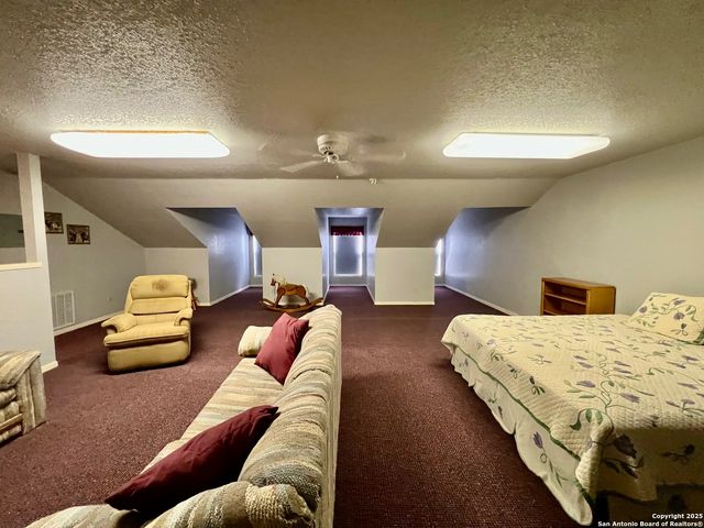 375 Bluntzer Rd, Jourdanton, TX 78026
