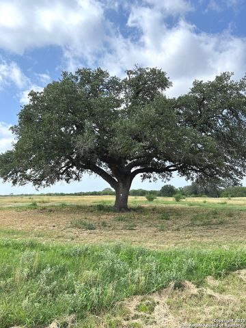375 Bluntzer Rd, Jourdanton, TX 78026