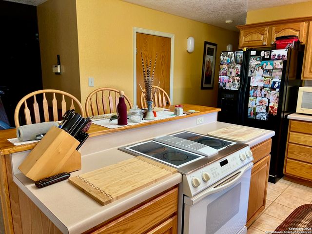 375 Bluntzer Rd, Jourdanton, TX 78026