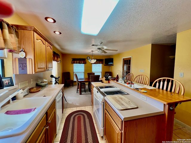 375 Bluntzer Rd, Jourdanton, TX 78026