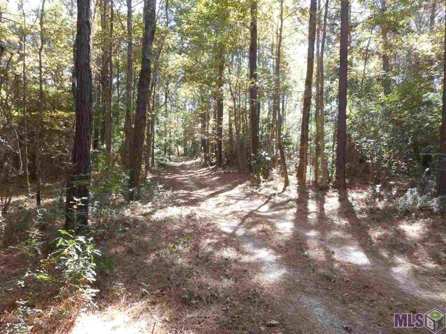 7430 Lane Rd, Ethel, LA 70730