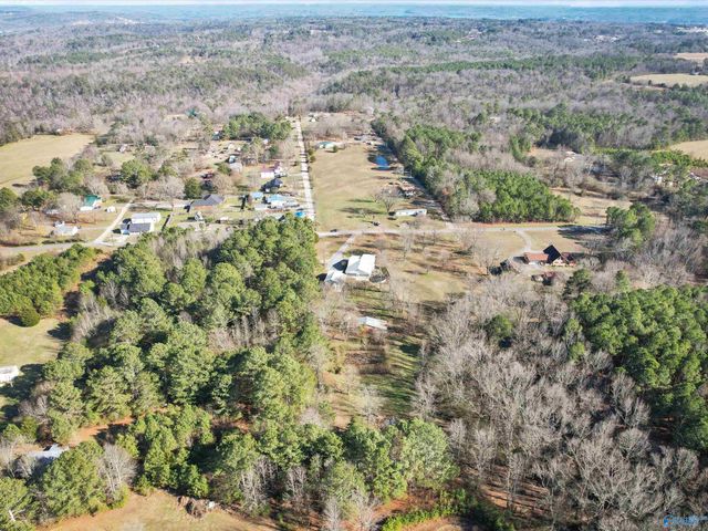 599 Gross Road, Guntersville, AL 35976