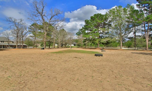 26231 Crown Ranch Boulevard, Montgomery, TX 77316