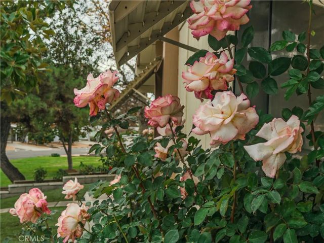 9465 Sharon Way, Calimesa, CA 92320