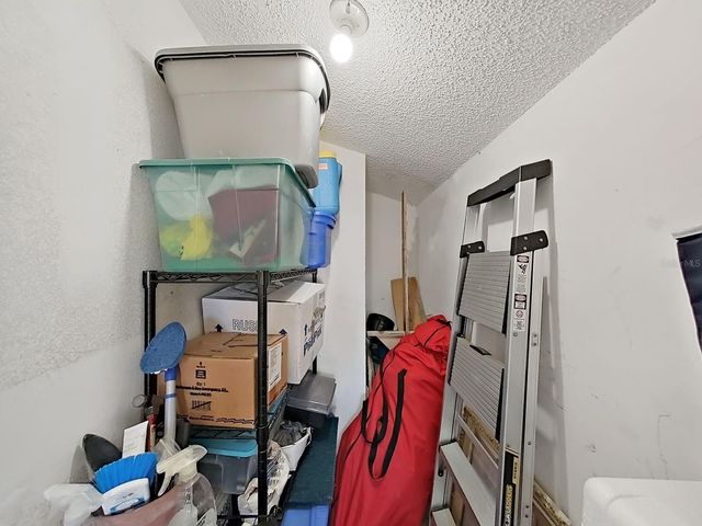 129 CAMPHOR CIRCLE C, Oldsmar, FL 34677