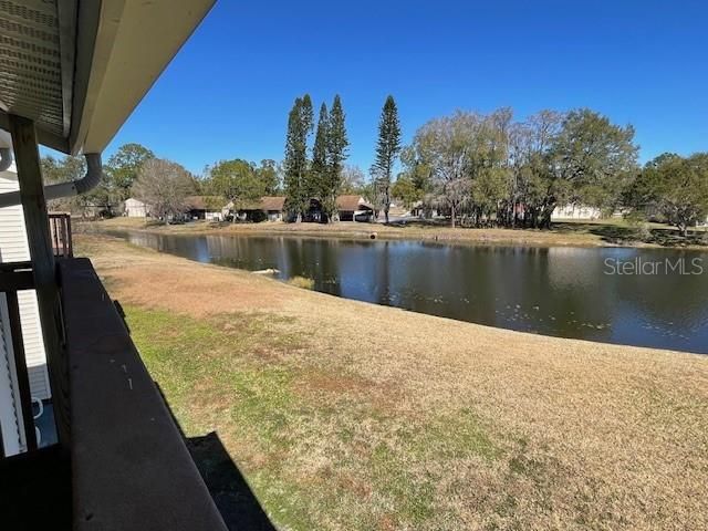 129 CAMPHOR CIRCLE C, Oldsmar, FL 34677