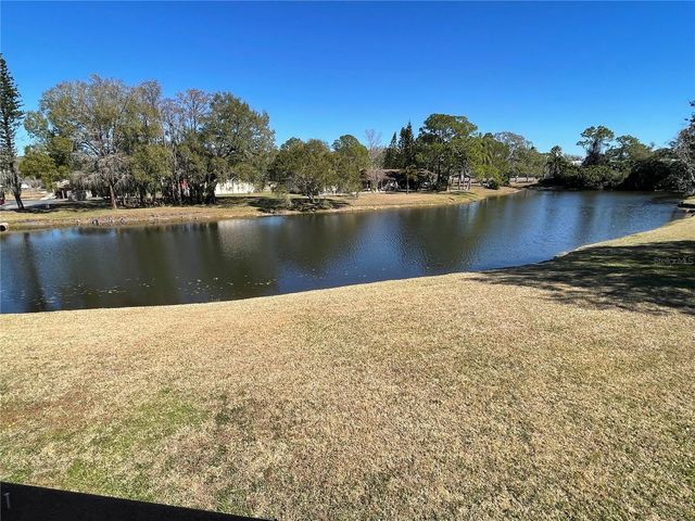 129 CAMPHOR CIRCLE C, Oldsmar, FL 34677