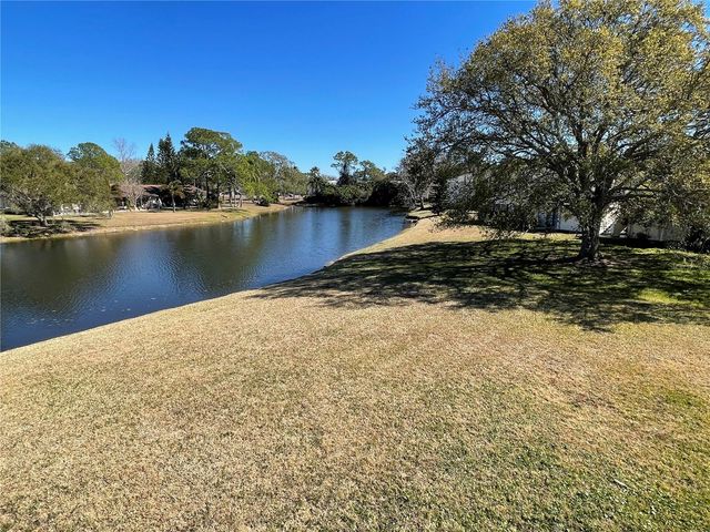 129 CAMPHOR CIRCLE C, Oldsmar, FL 34677