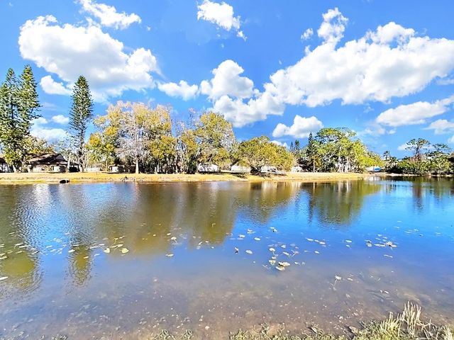 129 CAMPHOR CIRCLE C, Oldsmar, FL 34677