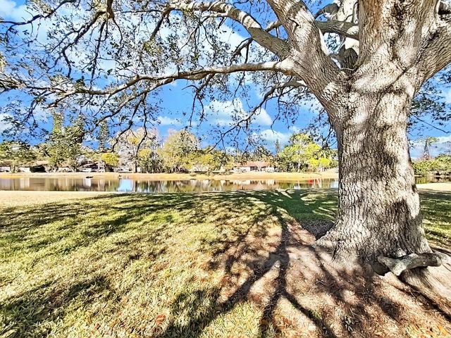 129 CAMPHOR CIRCLE C, Oldsmar, FL 34677