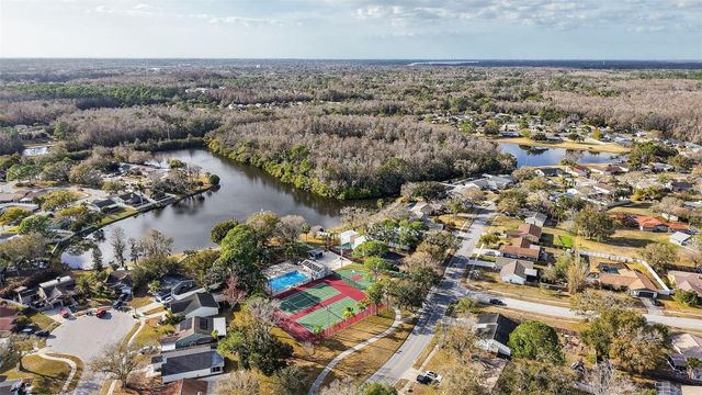 129 CAMPHOR CIRCLE C, Oldsmar, FL 34677