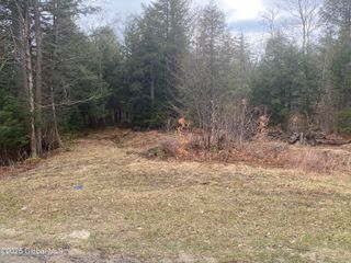L13 County Highway 137, Caroga, NY 12032