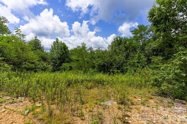 705 Pine Ridge Road 59, Hendersonville, NC 28792