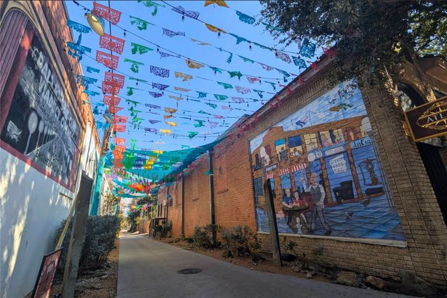 311 N Patton Avenue, Dallas, TX 75203