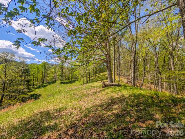 572 Pleasant Valley Road, Burnsville, NC 28714