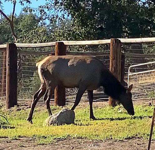 29580 Starland, Tehachapi, CA 93561