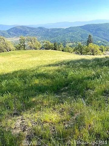 29580 Starland, Tehachapi, CA 93561