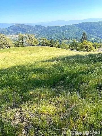 29580 Starland, Tehachapi, CA 93561