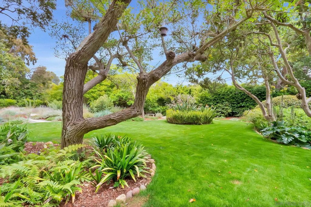 Image 25 of property listing at 1205 Muirlands Dr, La Jolla, CA 92037
