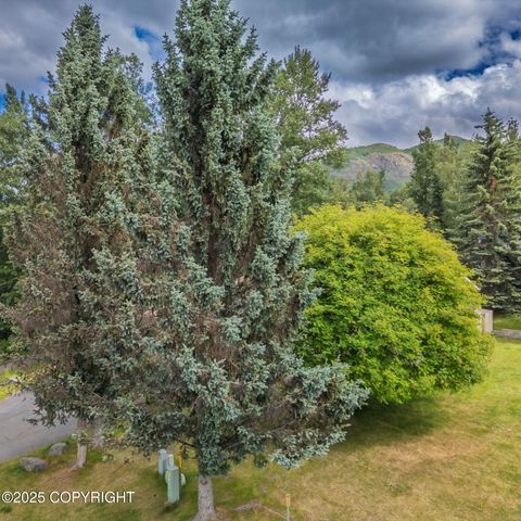 9843 E Chichagof Loop, Eagle River, AK 99577