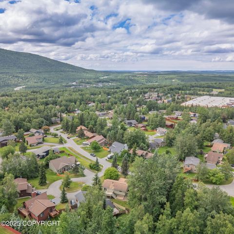 9843 E Chichagof Loop, Eagle River, AK 99577