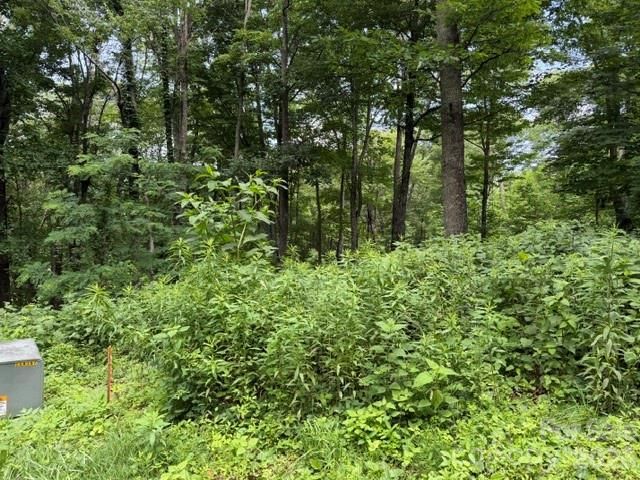 Lot 28 Toi Trail 28, Maggie Valley, NC 28751