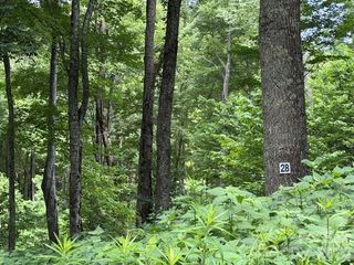 Lot 28 Toi Trail 28, Maggie Valley, NC 28751