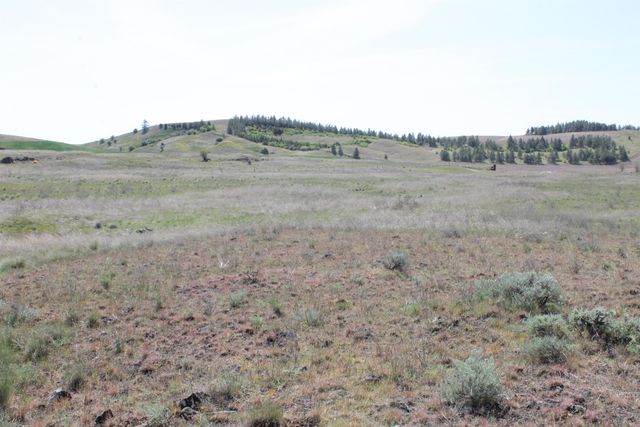 XXXX S Rock Lake Rd, Cheney, WA 99004