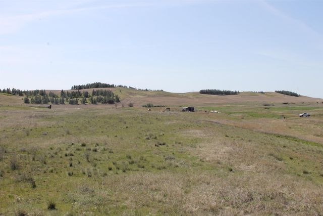 XXXX S Rock Lake Rd, Cheney, WA 99004