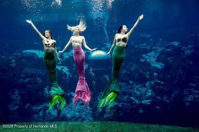 11323 Limpkin Road, Weeki Wachee, FL 34614