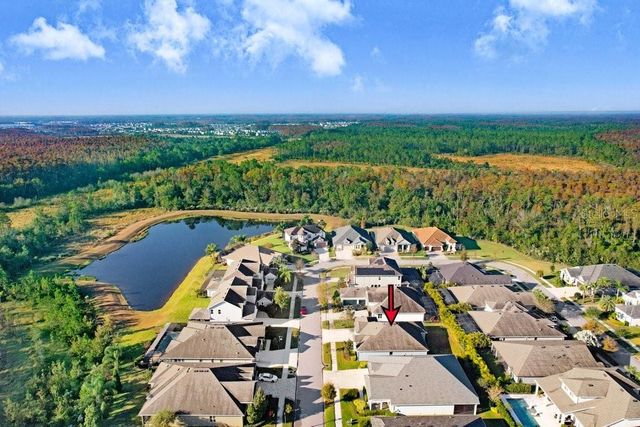 16711 COURTYARD LOOP, Land O Lakes, FL 34638