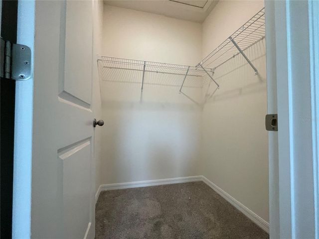 11127 CRESCENT DEER DRIVE, Land O Lakes, FL 34638