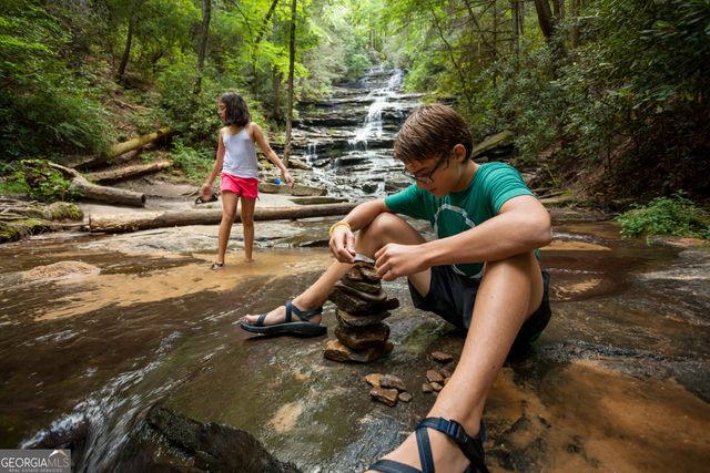 7525 Homer Drive, Cumming, GA 30028