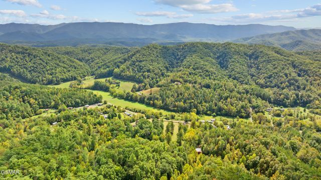 4769 Jones Cove Road, Cosby, TN 37722