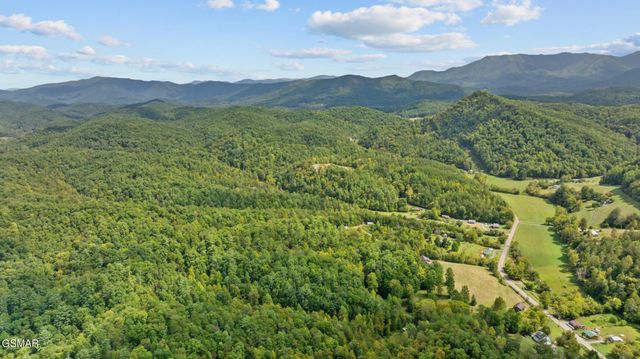 4769 Jones Cove Road, Cosby, TN 37722