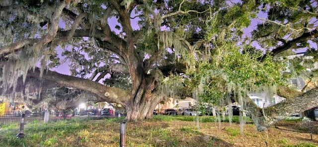 310 BAYSHORE BOULEVARD 104, Clearwater, FL 33759