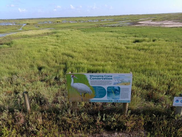 555 Mesquite Tree Loop, Rockport, TX 78382