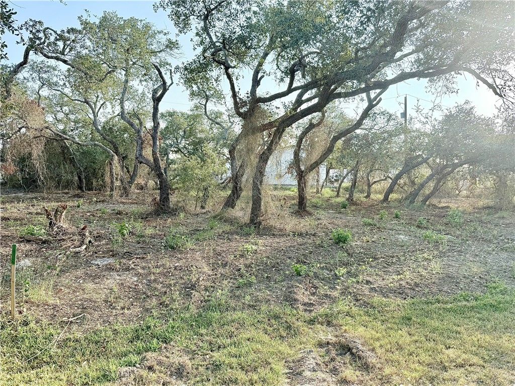 555 Mesquite Tree Loop, Rockport, TX 78382