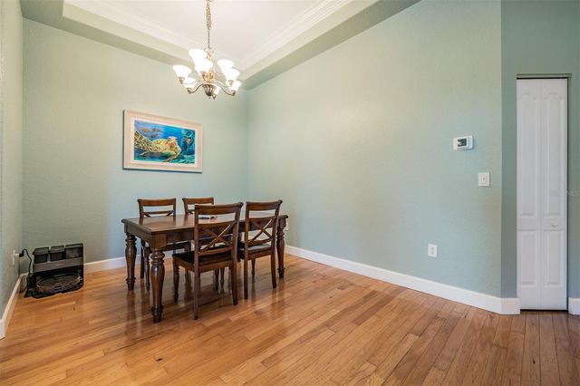 2008 N POINTE ALEXIS DRIVE, Tarpon Springs, FL 34689